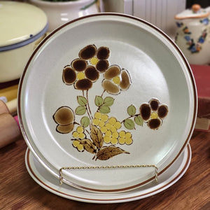 Retro Hearthside Stoneware, Floral Expressions Foliagetime Dinner Plate - Set of 2 Made in Japan