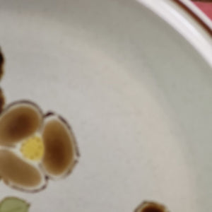 Retro Hearthside Stoneware, Floral Expressions Foliagetime Dinner Plate - Set of 2 Made in Japan