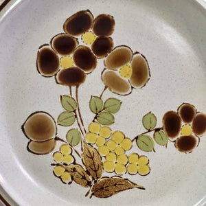 Retro Hearthside Stoneware, Floral Expressions Foliagetime Dinner Plate - Set of 2 Made in Japan