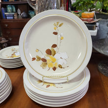 Load image into Gallery viewer, Jepcor International Casual Classic Stoneware Tahoe Pattern Hand Painted Dinner Plates - Set of 6 Made in Korea