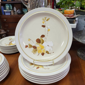 Jepcor International Casual Classic Stoneware Tahoe Pattern Hand Painted Dinner Plates - Set of 6 Made in Korea