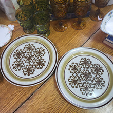 Load image into Gallery viewer, Acsons Japan Stoneware Granada Dinner Plates - Set of 2