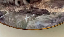 Load image into Gallery viewer, The Snow Leopard Plate by Will Nelson - Last of Their Kind: The Endangered Species Plate No. 698514
