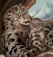 Load image into Gallery viewer, The Snow Leopard Plate by Will Nelson - Last of Their Kind: The Endangered Species Plate No. 698514