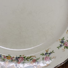 Load image into Gallery viewer, Vintage Crown Ivory Dinner plates, Fine China