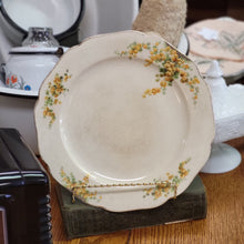 Load image into Gallery viewer, Carrollton China Yellow Floral Pattern Dinner Plate