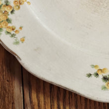 Load image into Gallery viewer, Carrollton China Yellow Floral Pattern Dinner Plate