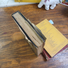 Load image into Gallery viewer, Vintage Book - The Mudlark by Theodore Bonnet