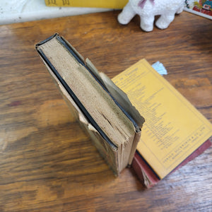 Vintage Book - The Mudlark by Theodore Bonnet