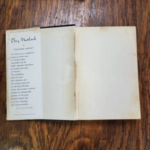 Vintage Book - The Mudlark by Theodore Bonnet