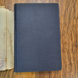 Vintage Book - The Mudlark by Theodore Bonnet