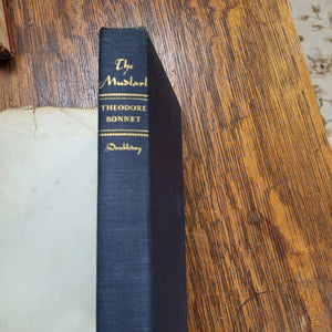 Vintage Book - The Mudlark by Theodore Bonnet
