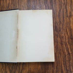 Vintage Book - The Mudlark by Theodore Bonnet