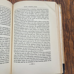 Vintage Book - The Mudlark by Theodore Bonnet