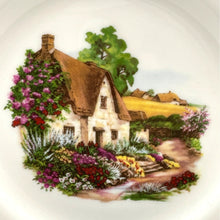 Load image into Gallery viewer, Vintage Sheltonian English Bone China Saucer Plate