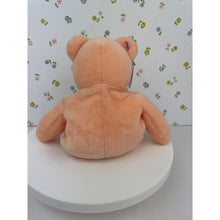 Load image into Gallery viewer, Classy Tassy&#39;s Bears TLC Beanbag Teddy Bear - Peaches Gorja 1998