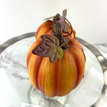 Load image into Gallery viewer, Fall Sentiment Pumpkins, Thanksgiving Fall Decoration Give Thanks Welcome Set of 2