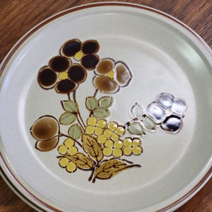 Retro Hearthside Stoneware, Floral Expressions Foliagetime Dinner Plate - Set of 2 Made in Japan