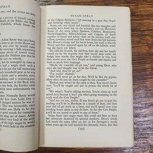 Susan Spray Sheila Kaye-Smith 1931 HC w/ DJ Harper & Brothers Vintage Novel
