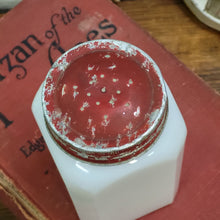 Load image into Gallery viewer, Hazel Atlas Milk Glass Range Saltshaker - Retro Red and White