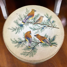 Load image into Gallery viewer, Vintage Tom Sturgis Pretzel Tin - Multi Bird Motif