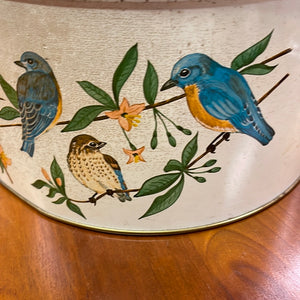 Vintage Tom Sturgis Pretzel Tin - Multi Bird Motif