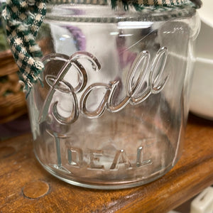 Vintage Short Ball Ideal Jar with Wire Bail Closure