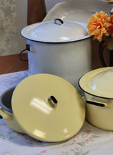 Load image into Gallery viewer, Enamelware lined yellow and gray pot with cover
