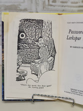 Load image into Gallery viewer, Nancy Drew - Password to Larkspur Lane #10 - 1994