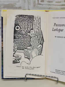 Nancy Drew - Password to Larkspur Lane #10 - 1994