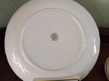 Load image into Gallery viewer, Vintage Gold Trimmed &quot;Tuscan Fine English Bone China&quot; Made in England