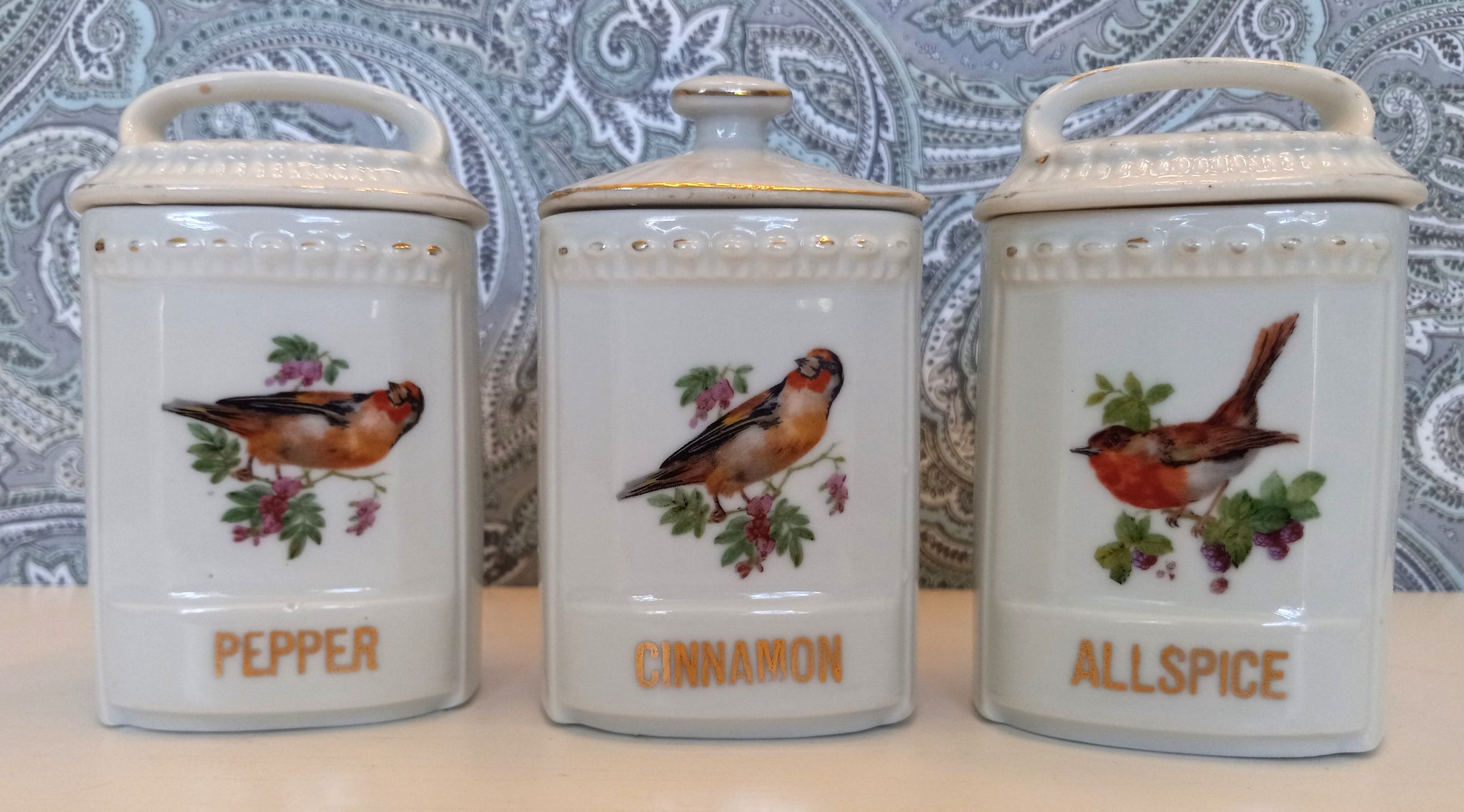 Antique Porcelain German Made Spice Jars with Hand Painted Birds