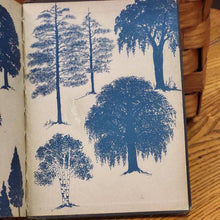 Load image into Gallery viewer, Vintage Book - The Elson Readers Book Four, Elson Extension Series