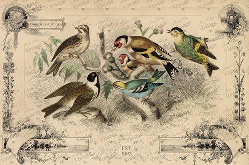 JRV Cottage Birds Tissue Paper