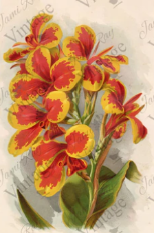 JRV Hand Painted Floral Tissue Paper – Fluffernutter Vintage