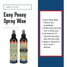 Load image into Gallery viewer, Clear Matte Spray Wax, Easy Peasy Wax - Dixie Belle