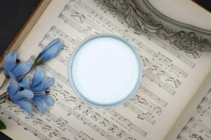 Haint Blue - Dixie Belle Chalk Mineral Paint