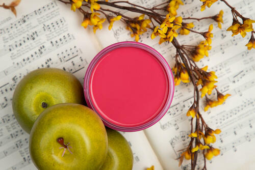 Peony - Dixie Belle Chalk Mineral Paint