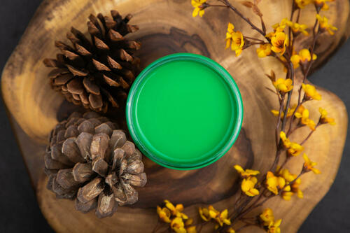 Tree Frog - Dixie Belle Chalk Mineral Paint